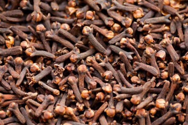 EliteGreen Clove Plant