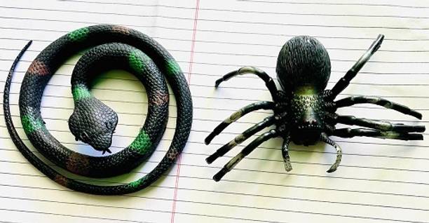 Tik C Rubber snake and spider toys