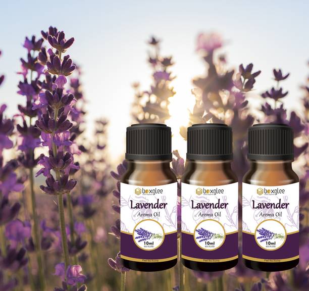 Boxglee multi fragrance Aroma Oil Lavender Aroma Oil 10ml (Pack of 3 PCS) for Diffuser & Home Fragrance