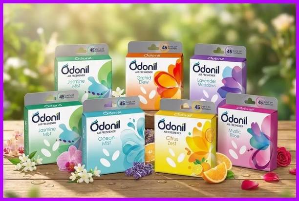 Odonil Lavender meadows, Long Lasting Odour, Assorted Blocks Blocks Air Freshener for Home Decor & Daily Use | 250ml
