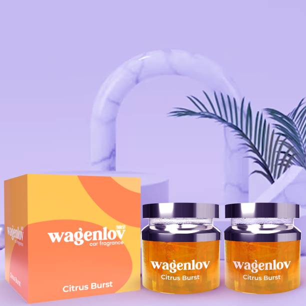 3003BC Wagenlov Citrus Burst Gel Car freshener Pack of 2 Car Freshener Blocks Wagenlov Citrus Burst Gel Car freshener Pack of 2