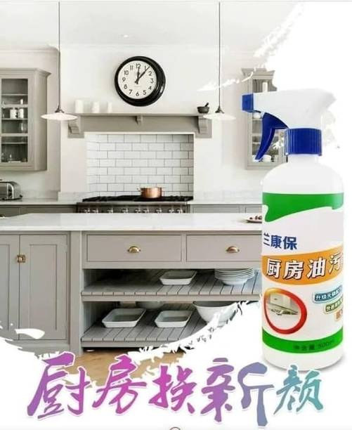 REGLET Multi Surface All Stains Disinfectant Spray