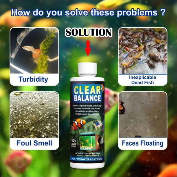 ARXTRO Clear Balance Fish Tank Water Purifier Algae Remover, 100ml-1 Solvent Aquarium Cleaner
