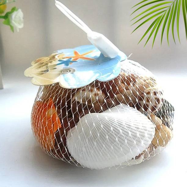 asfly Sea Shells Aquarium Sea shale Home Decoration Used Aquarium & craft Shale Unplanted Substrate