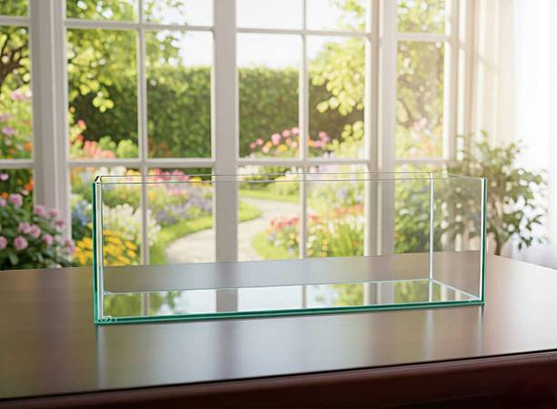 AquariumGallery Aquarium Glass Fish Tank for Home & Office (9X6X6 Inches) Rectangle Aquarium Tank