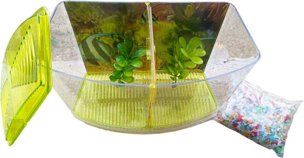 RPM 8 Inches Betta Mini Fish Tank Green Rectangle Aquarium Tank