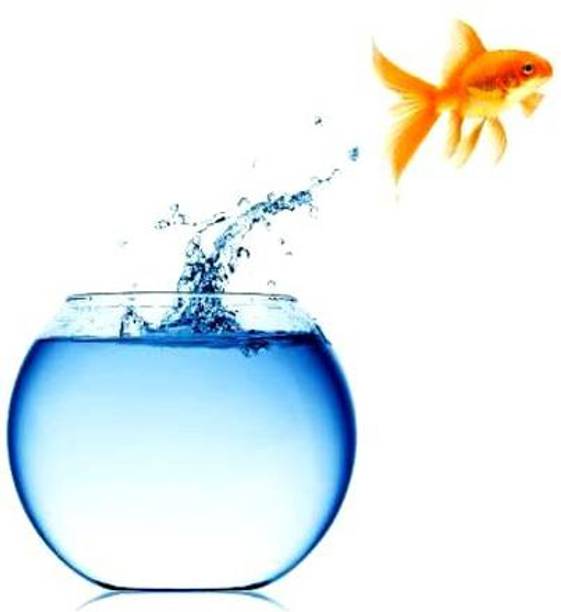 ATLOYAL 10_inch w.c. Round Ends Aquarium Tank