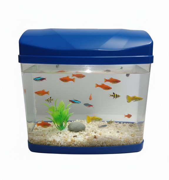 EVANLINE ENTERPRISES Mini Table Aquarium Plastic Fish Tank (Mavery Colours) Rectangle Aquarium Tank