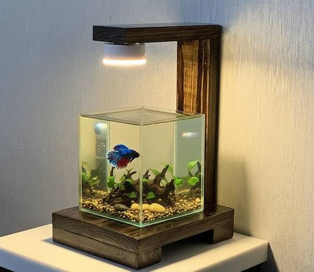 TPH Tank with lamp Rectangle Aquarium Tank