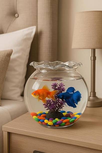 SAVORADE 6 Inchi Jhalar @16 Round Ends Aquarium Tank