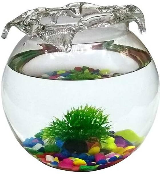 SEETASTIC 6 Inchi Jhalar @d1 Round Ends Aquarium Tank