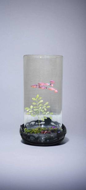 OMSHIVISH ROUND SHAPE AQUARIUM TANK WITH BASE Cylinder Aquarium Tank