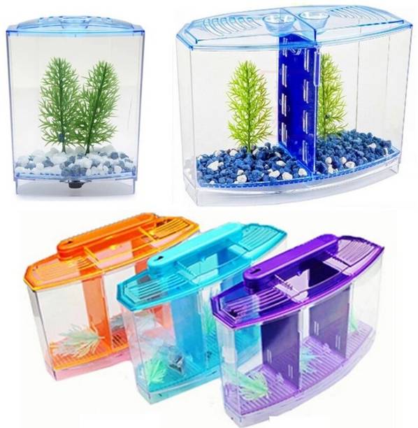 Mini Aquarium Fish Tank with One Plant