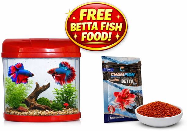 HNS Mini Aquarium Betta tank with free betta fish food/Color may vary Rectangle Aquarium Tank