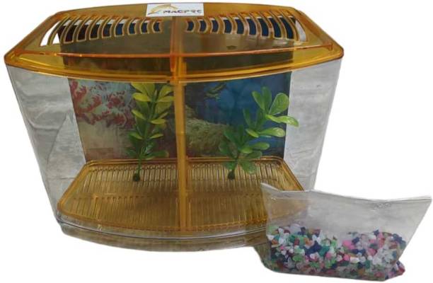 RPM 8 Inches Double Betta Mini Fish Tank Orange Rectangle Aquarium Tank