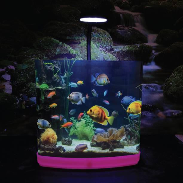 FlyExtreme Fish Tank With LED Light For Betta, Guppy, Gold Fish & Other Small Fish Variety Cube Aquarium Tank