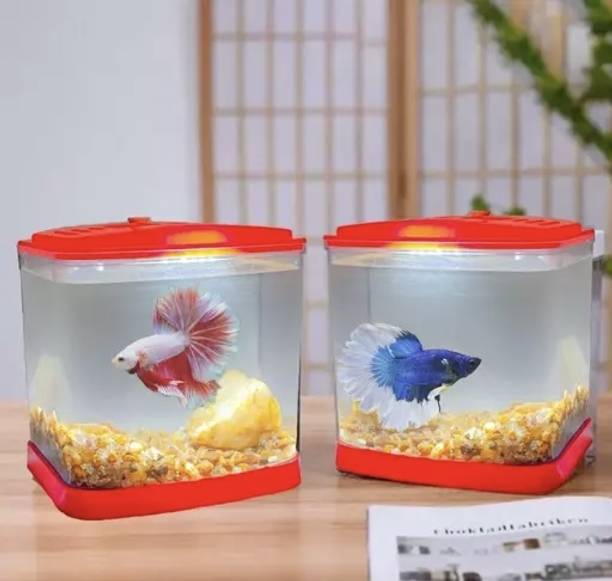 Fish Tank Buy Fish Tank online at Best Prices in India