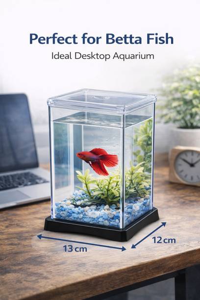SREE ENTERPRISES NB-135 Rectangle Aquarium Tank