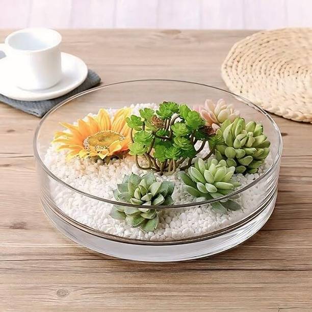 SAVORADE 6inch clear thali@14 Round Ends Aquarium Tank