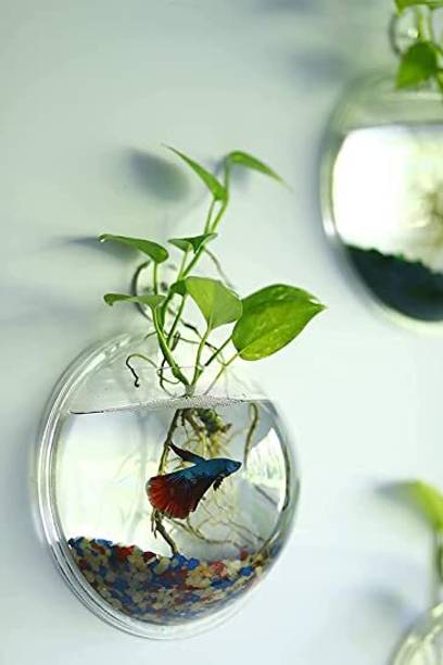 Blue Marlin wall AQ 001 Round Ends Aquarium Tank