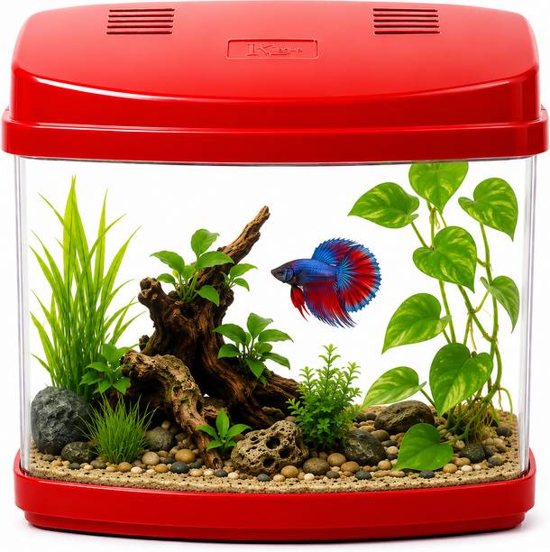 Petscope (Mini Aquarium - 2) Fish Tank, 20x14x20 cm for Betta and Other Small Fishes Rectangle Aquarium Tank