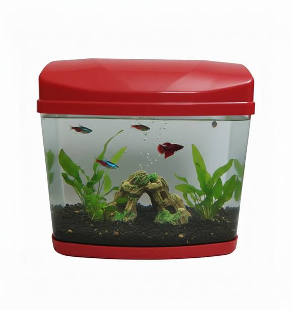 EVANLINE ENTERPRISES Mini Table Aquarium Plastic Fish Tank (Mavery Colours) Rectangle Aquarium Tank