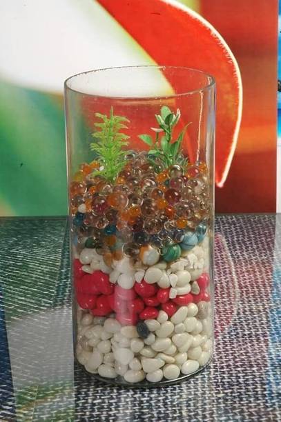 SAVORADE 4 inchi cylinder @vq Cylinder Aquarium Tank