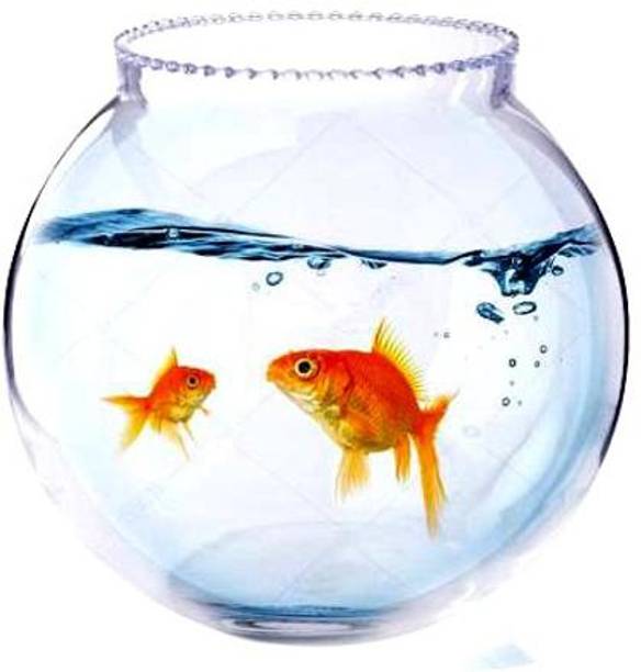 ATLOYAL collar10inch Round Ends Aquarium Tank