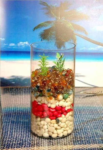 SAVORADE 8 inchi cylinder @m3 Cylinder Aquarium Tank