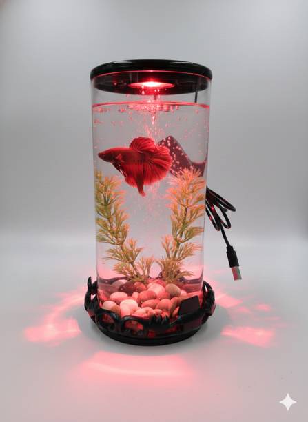 Petscope BETTA FISH TANK - DeskTop Aquarium(Multi Color LED USB Light) Rectangle Aquarium Tank