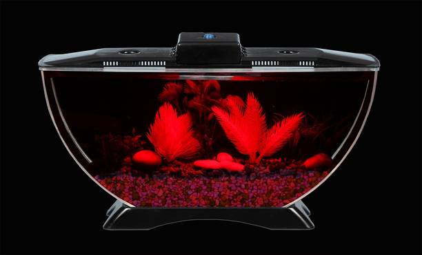 Blue Marlin half moon 005 Round Ends Aquarium Tank
