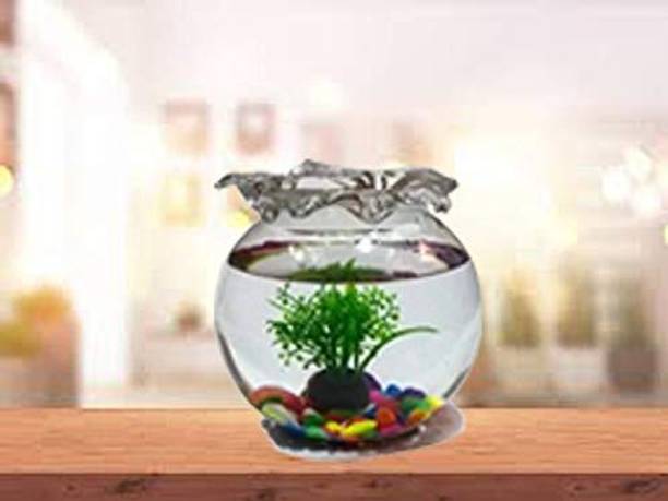 SAVORADE 10 Inchi Jhalar @18 Round Ends Aquarium Tank