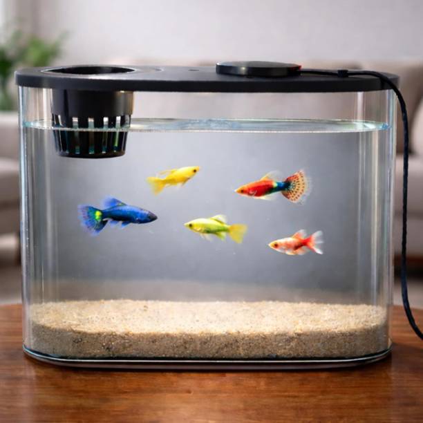 FinyPetz PS-30L Acrylic Aquarium Tank 10L with LED Light & Plant Holder for Betta Rectangle Aquarium Tank