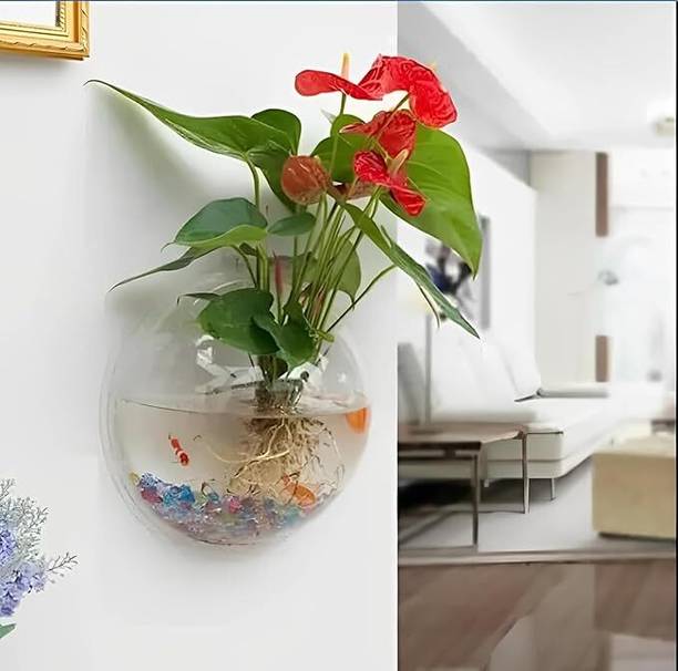 MAGINATO 8inch wall doom clear glass@8 Round Ends Aquarium Tank