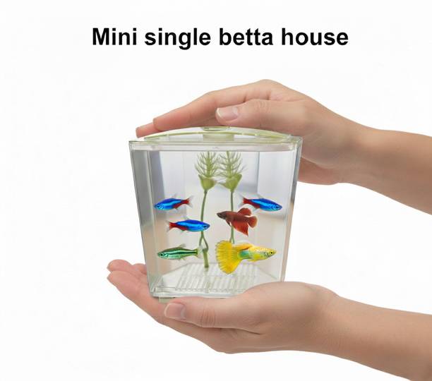 EVANLINE ENTERPRISES Stylish Plastic Single Betta House Portable Table Aquarium Fish Tank Rectangle Aquarium Tank