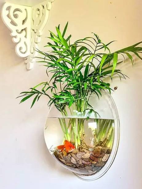 TWINS TWINS Wall-Hanging Fish Bowl Wall Mounted Plant Pot for Fish & Plant Wall Decor Round Ends Aquarium Tank
