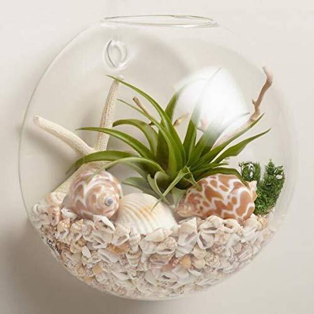 SEETASTIC 5inch clear wall doom@7 Round Ends Aquarium Tank