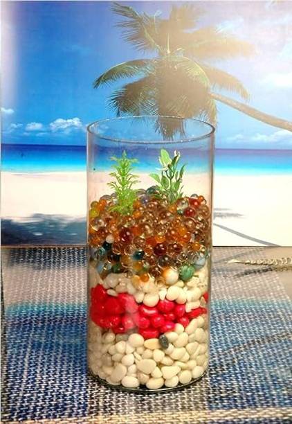 MAGINATO 6inchi cylinder glass vase r Cylinder Aquarium Tank