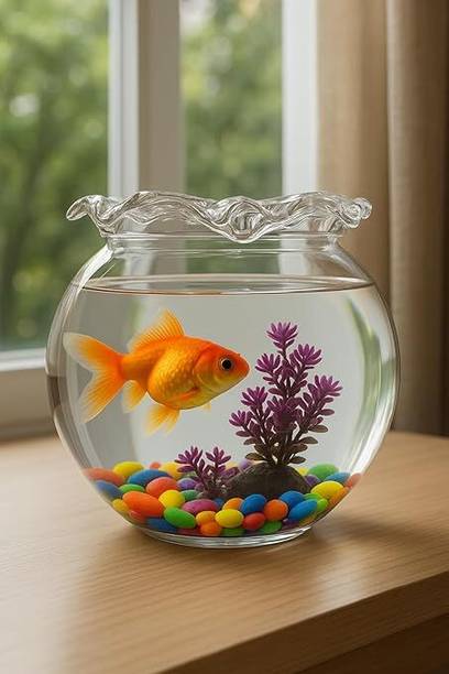 SAVORADE 8 Inchi jhalar @17 Round Ends Aquarium Tank