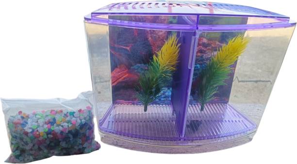 RPM 8 Inches Betta Mini Fish Tank Purple Rectangle Aquarium Tank