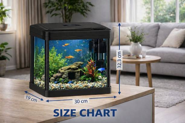 SURAJ AQUARIUM AQUARIUM BY-300 Rectangle Aquarium Tank