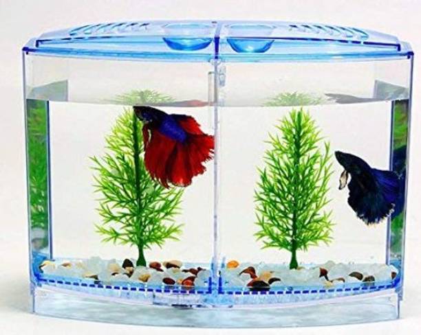 HNS Double betta tank with 2 compartment for small fish/ Color may vary Corner Pentagon Aquarium Tank