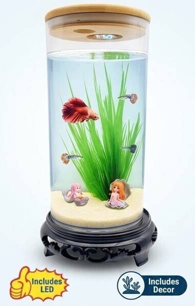 Trendy Bay Mini Aquarium Tank with LED Light | Desktop Betta Fish Bowl | Clear Transparency Cylinder Aquarium Tank
