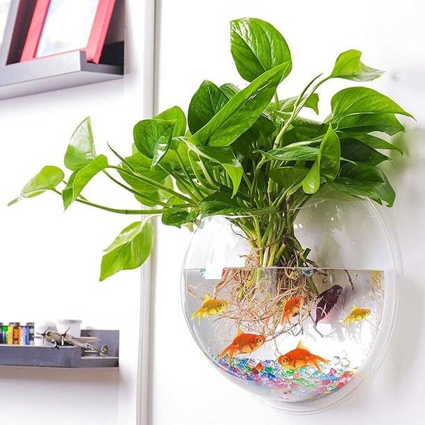 goblet 5inch wall doom aqua@17 Round Ends Aquarium Tank
