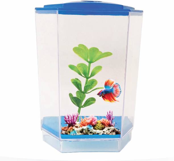 FlyExtreme Betta Fish Corner Pentagon Aquarium Tank