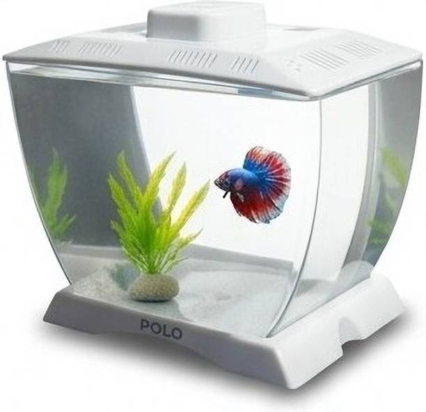 Trendy Bay Mini Betta Fish Tank with Decor | Small Desktop Aquarium Bowl for Guppy & Tetra Concave View Aquarium Tank