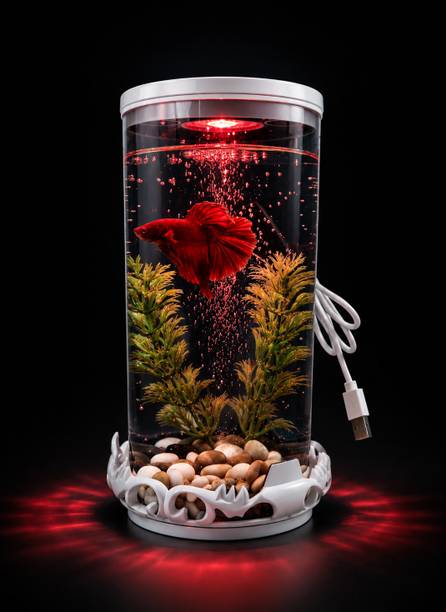 Petscope Cylinder Fish Tank(PS-10, Black Color) Cylinder Aquarium Tank