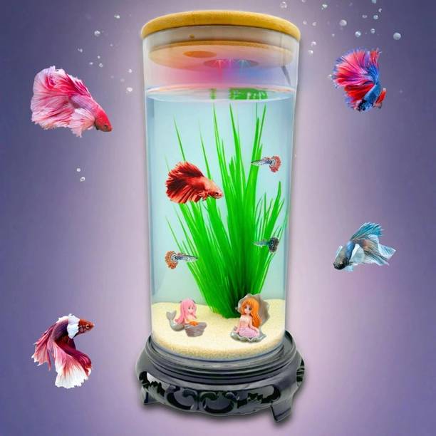Bluepet Mini Cylindrical Fish Tank with LED Light for Betta & Guppies (19.5x9.5cm) Cylinder Aquarium Tank