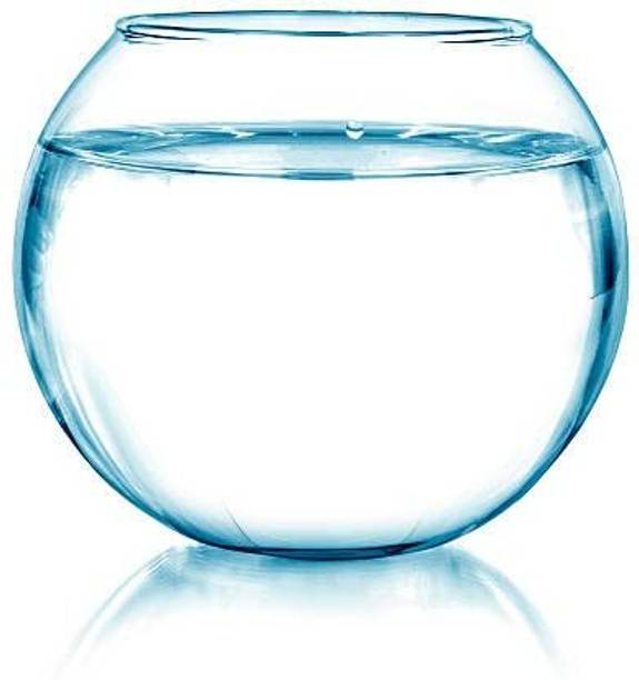 ATLOYAL Round Crystal Clear Transparent Bowl Aquarium, Fish Bowl, Glass Vase for Decor Round Ends Aquarium Tank