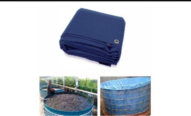 ZN GLOBAL NATION ZN4 Round Ends Aquarium Tank